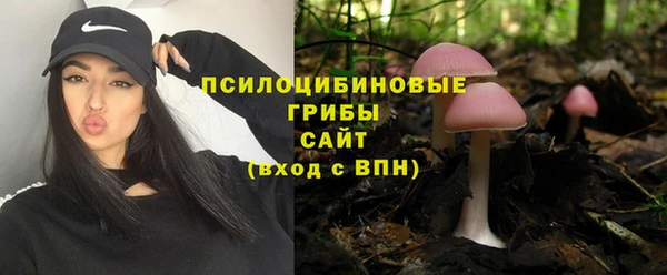 PSILOCYBIN Баксан