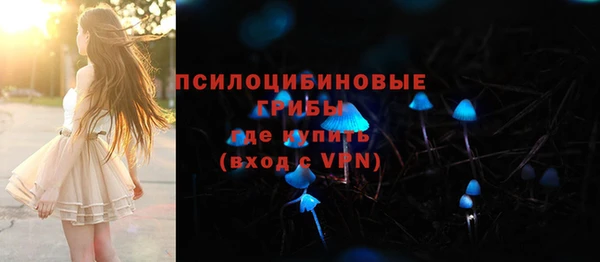 PSILOCYBIN Баксан