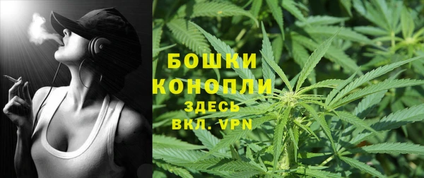PSILOCYBIN Баксан