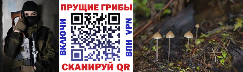 Псилоцибиновые грибы MAGIC MUSHROOMS  Краснокаменск 