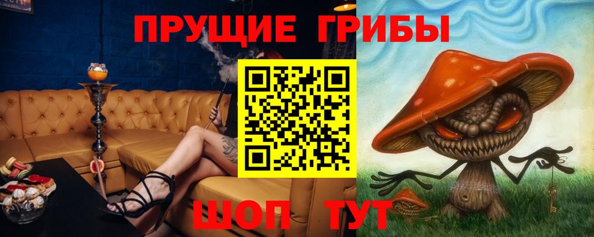 Краснокаменск  Псилоцибиновые грибы мухоморы  Вход с VPN 