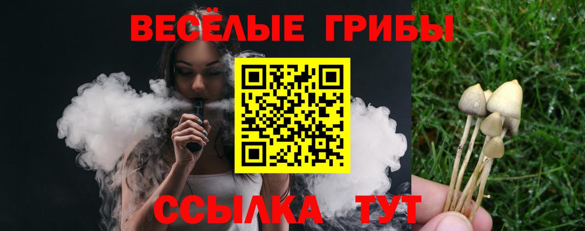 Галлюциногенные грибы Cubensis Краснокаменск